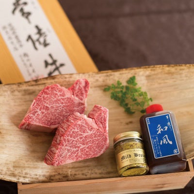 フィレミニヨン用
